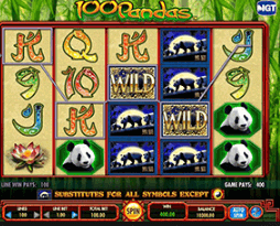 A picture that shows the virtual Panda's Gold reels and symbols and wilds.