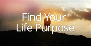 Find your life purpose