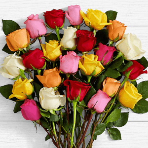 Roses with different colours