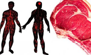 How to Know if Your Body is not Digesting Meat Properly