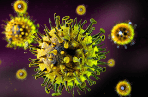deadly viruses 