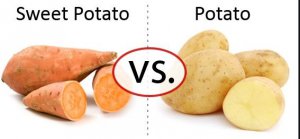 regular vs sweet potatoes